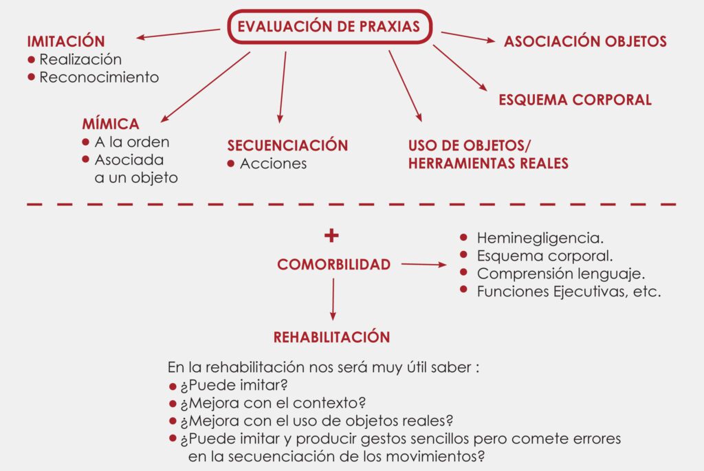 Evaluacion Praxias